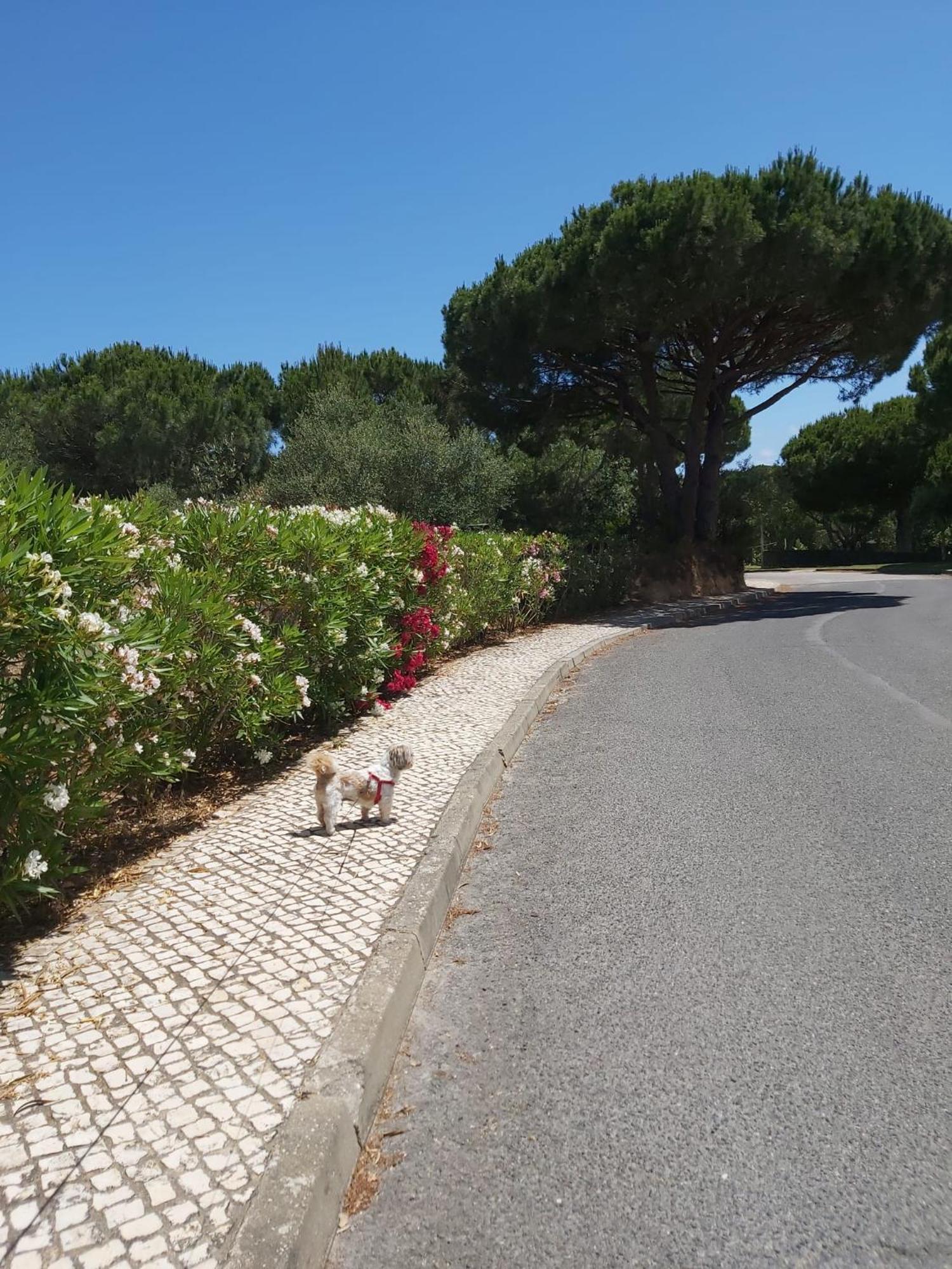 - Casa Balaia Holiday home